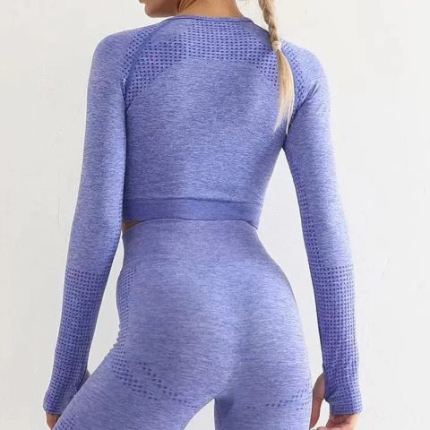 Breathable Seamless Cropped Long Sleeve